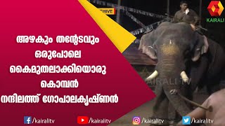 അകാലത്തിൽ പൊലിഞ്ഞു പോയ മാണിക്യം  Nandilath GopalaKrishanan  E for Elephant  Kairali TV [upl. by Irep]