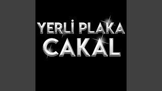 Yerli Plaka Cakal Live [upl. by Papst]