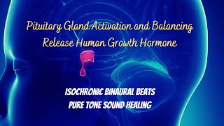 Pituitary Gland Activation and Balancing  Isochronic Binaural Beats  Release Human Growth Hormone [upl. by Fabiano]