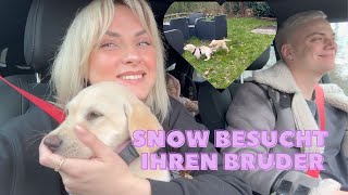 AlltagsFamilyVlog 👨‍👩‍👧‍👧🐶aliciasmumlife [upl. by Lacee]