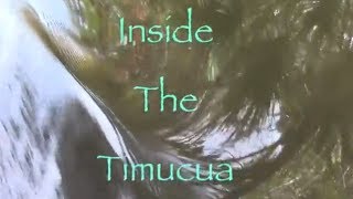 Indian documentary quotInside the Timucuaquot [upl. by Nikoletta111]