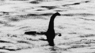 ¿Podría el Monstruo del Lago Ness ser un dinosaurio superviviente  Paleontólogo con Jordi Wild [upl. by Einahets]