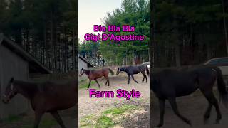 Bla Bla Bla Gigi DAgostino 🎶🚜 Farm Remix farmlife horses funnyanimals [upl. by Htide173]