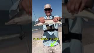 Bama Beach Bum Took Me Surf Fishing In Orange Beach Alabama shorts surffishing [upl. by Oates]