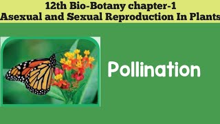 12th biobotany chapter1 Asexual And Sexual Reproduction In Plants POLLINATION 12th SCERT [upl. by Tnecniv]