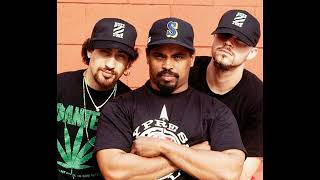 FREE Old School Cypress Hill 90s Boom Bap Type Beat  quotRattlesnakequot [upl. by Ramat]