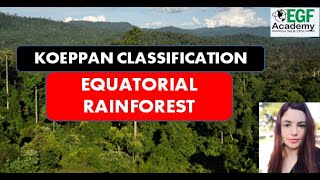 Equatorial Rainforest Climate l Koeppens Climate Classification l Equatorial Rainforest Biome [upl. by Sanalda]