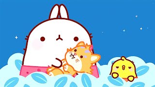 Molang ✨ DAS SÄBELZAHNKÄTZCHEN ✨ Folge 1 ✨ Lustige Cartoons für Kinder [upl. by Alebasi816]