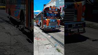 Rico T3 de la 52 😏 Buses salvadoreños Bus Shorts  Albert JP  automobile camion trucker [upl. by Nylrac]