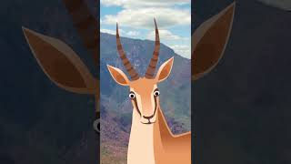 Antelope in Africa live in Herds [upl. by Lupiv]