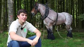 Antoine 17 ans débardeur et amoureux des chevaux de trait [upl. by Garrot929]