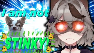 Snuffy Reacts To TikTok Memes 8 Snuffys Hygiene amp More [upl. by Eelime]