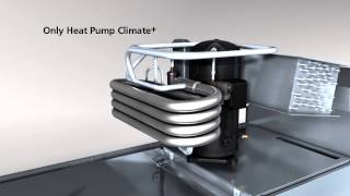 Winterhalter Conveyor dishwasher  Heat Pump [upl. by Norac]