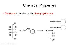 Carbohydrates Physical and Chemical Properties  Lecture 6b [upl. by Oilasor]