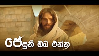 Jesuni oba enna  Sinhala Hymn Cover [upl. by Harvison]