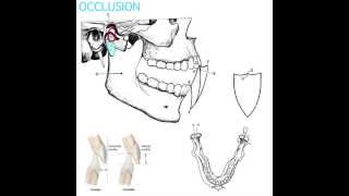 Occlusion Part 1 [upl. by Nawk995]