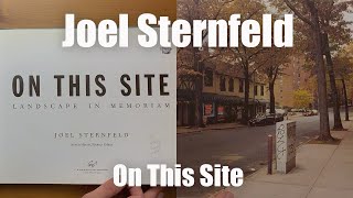 Joel Sternfeld On This Site [upl. by Ttelrahc]