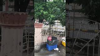 Kauwa kauwa kya kar raha hai 🦅  Crow🦅🦅  youtubevideos viralvideos bejubaanNature kalkatta [upl. by Romie]