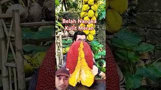 Belah nangka subcribe fruit shorts short [upl. by Yelnet]