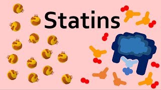 Statins and Cholesterol [upl. by Eboh527]