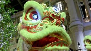 MGM Lion Guinness big lion dance [upl. by Wahl]