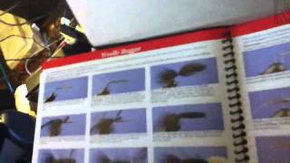 Unboxing of Cabelas Fly Tying Kit [upl. by Kingston555]