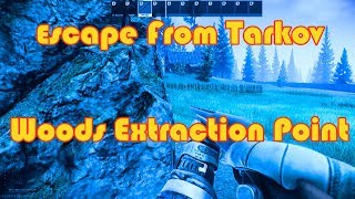 Escape From Tarkov  Woods Extraction Point [upl. by Tearle809]