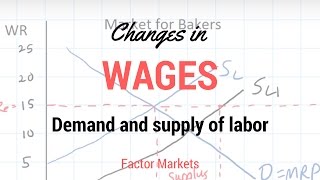 Labor Markets  Change in in Equilibrium Wage Rate and Level of Employment [upl. by Melan]