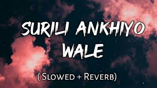 Surili Ankhiyo Wale   Slowed  Reverb  Lyrics  Use Headphones 🎧🎧 [upl. by Lanita255]