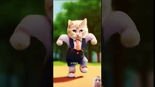 Cat dance funny catie cat cute keşfet talkingtom catty catt dance catz [upl. by Alessandra996]