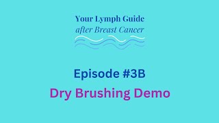 3B Dry Brushing Demo [upl. by Aile527]