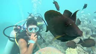 BANGARAM ISLAND RESORT LAKSHADWEEP  SCUBADIVING [upl. by Eynenihc5]