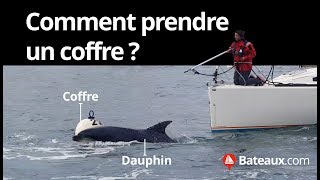 Prendre un coffre  quand un dauphin sen mêle [upl. by Tanberg]