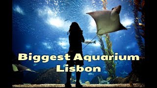 Lisbon Aquarium  Lisbon Oceanarium [upl. by Lasky]