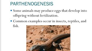 Parthenogenesis types and Significance [upl. by Franci]