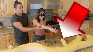 GIANT PYTHON SURPRISE DATE PRANK SHE FREAKED OUT [upl. by Ennobe]