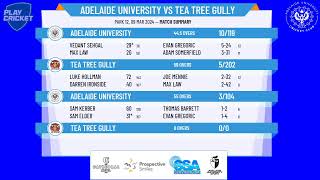 SACA  West End Mens 1st Grade Div One  Rd10  Adelaide Uni v Tea Tree Gully  Day 2 [upl. by Navoj898]