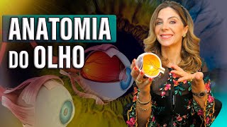 Anatomia do Olho  Como Funciona o Olho Humano [upl. by Satterfield]