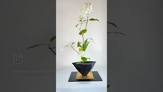 Ikenobo Ikebana exhibition at Enso in 13th July 24 and student design [upl. by Mrots]