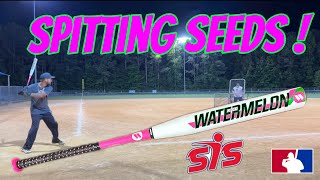 Hitting with the Worth Legit Watermelon  USSSA240 Slowpitch Softball Bat Review [upl. by Kamilah]