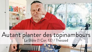 Autant planter des topinambours  Theozed [upl. by Neerom]