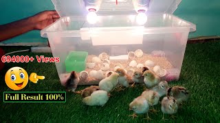 BEST INCUBATOR FOR CHICKEN EGGS WITH 100 EFFICIENCY  DIY HOMEMADE CHICKEN INCUBATOR  YOUCANDOTHIS [upl. by Attekram992]