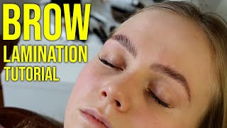 HD Brow Lamination Step By Step Tutorial Big Brows [upl. by Remoh]