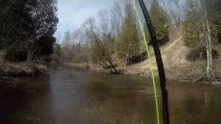 Betsie River Steelhead jumping and released [upl. by Susette106]