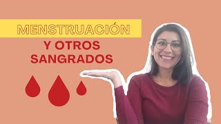 Menstruación y otros sangrados [upl. by Israeli]