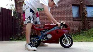 how to start a pocket bike [upl. by Hailey889]