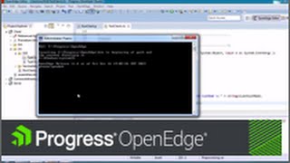 OpenEdge Debugging ABL Code [upl. by Lluj]