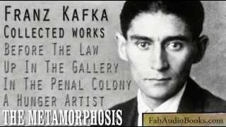 FRANZ KAFKA Collected Works  Four short stories and The Metamorphosis  full audiobooks [upl. by Nerhe]