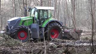 Fendt 930 s4  AHWI bosfrees forstmulchertree mulching [upl. by Lurlene]