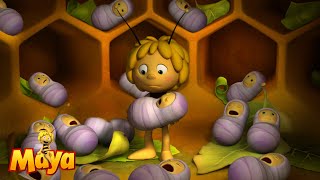 Bee kindergarten  Maya the Bee🐝🍯🐝 [upl. by Theta214]